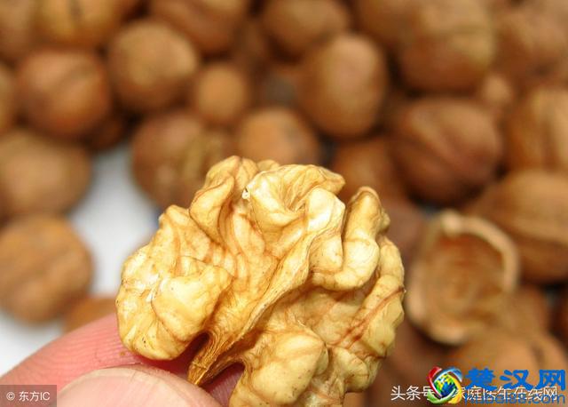 这7种坚果各有各的功效，每天吃一把，健康永相随