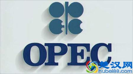 当今全球十大影响力最大的国际组织，国际奥林匹克委员会垫底！