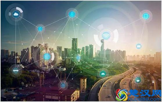 2020年这只黑天鹅对中国的影响？