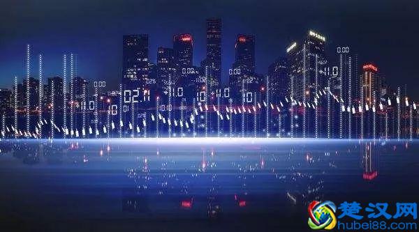 2020年这只黑天鹅对中国的影响？