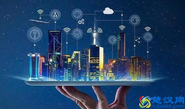 2020年这只黑天鹅对中国的影响？