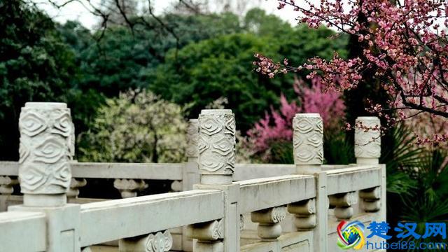 关于春天的16个成语，如诗如画！