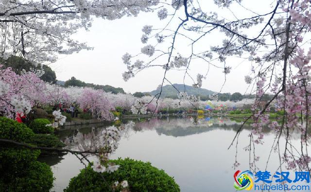 关于春天的16个成语，如诗如画！