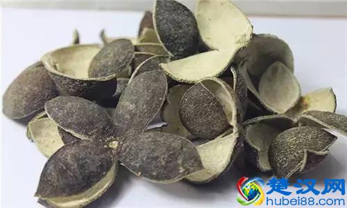 17种川菜用的特殊香料，你见过多少种？