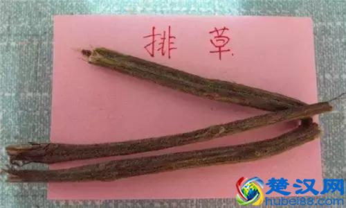 17种川菜用的特殊香料，你见过多少种？