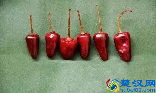 17种川菜用的特殊香料，你见过多少种？