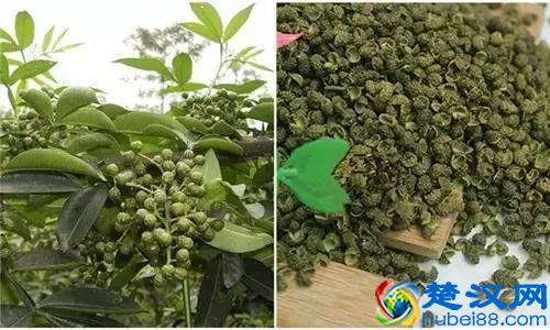 17种川菜用的特殊香料，你见过多少种？