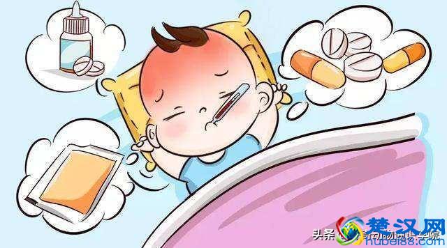 为什么有的动物冬眠，有的动物不冬眠呢？
