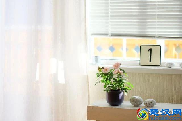 4种常见的文体的写作技巧，学会一种你就可以靠写作吃饭了