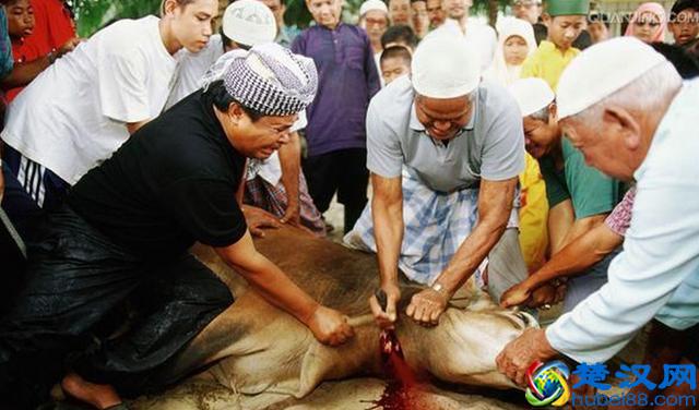 中国有四个少数民族不过春节，其中一个民族被认为是日本人祖先