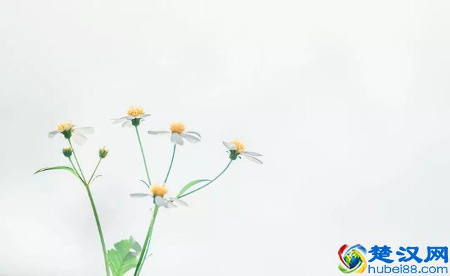 最全面的凯格尔运动教程（盆底肌运动）