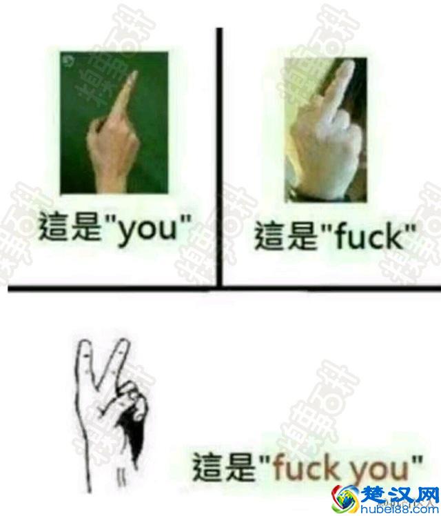 十条笑话之糗事百科