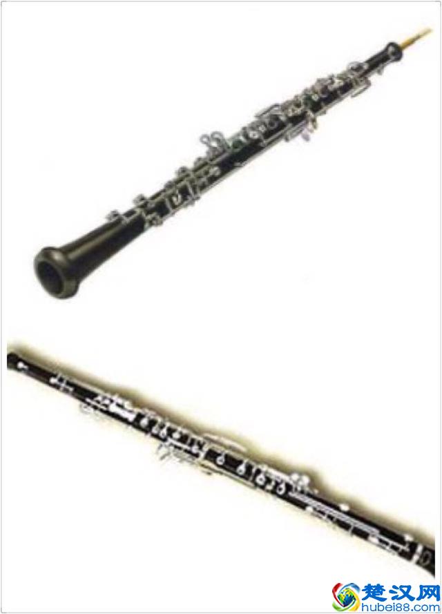 军乐｜瞎写写的木管乐器简介