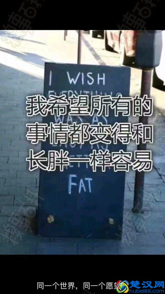 十条笑话之糗事百科