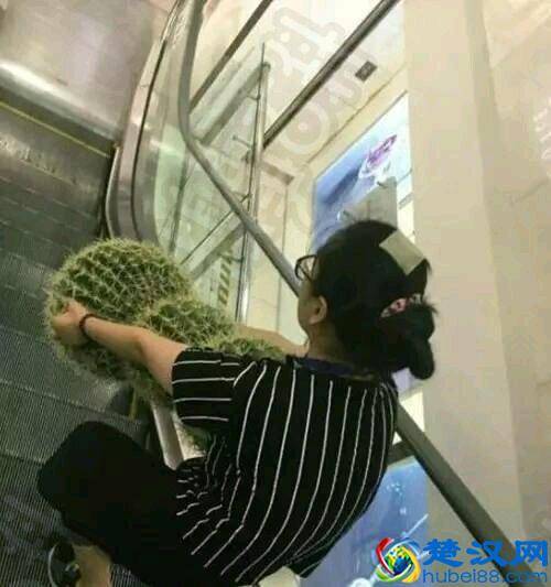 十条笑话之糗事百科