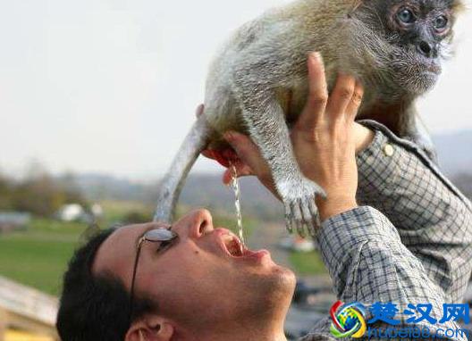 十条笑话之糗事百科