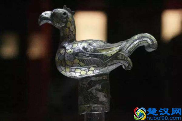 世界上到底有多少种生物？