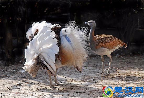 世界上到底有多少种生物？