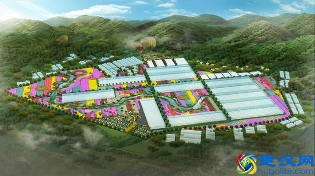 2020年可申报的农业项目有哪些？