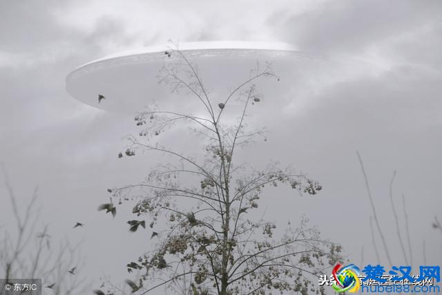 雾与霾有什么区别？不论哪种，请做好这一件事