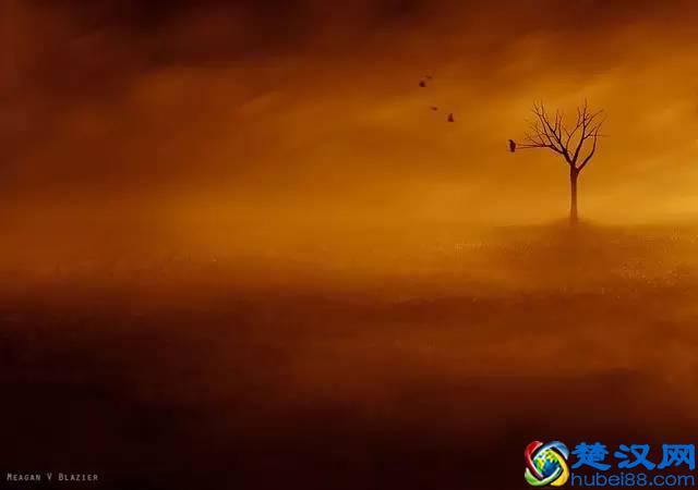 看看人家用卡片机拍出来的是什么效果？