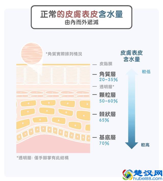 化妆水要不要用，怎么用？