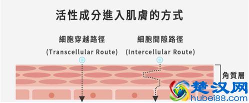 化妆水要不要用，怎么用？