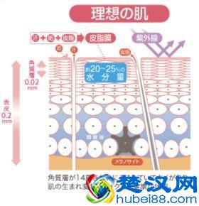 化妆水要不要用，怎么用？