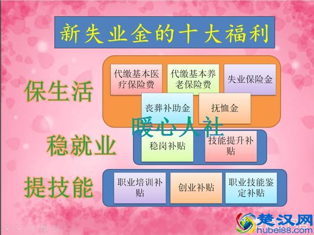 失业保险的领取条件和领取标准是什么？