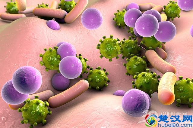 中药紫河车被踢出药典，产妇胎盘还能吃吗？