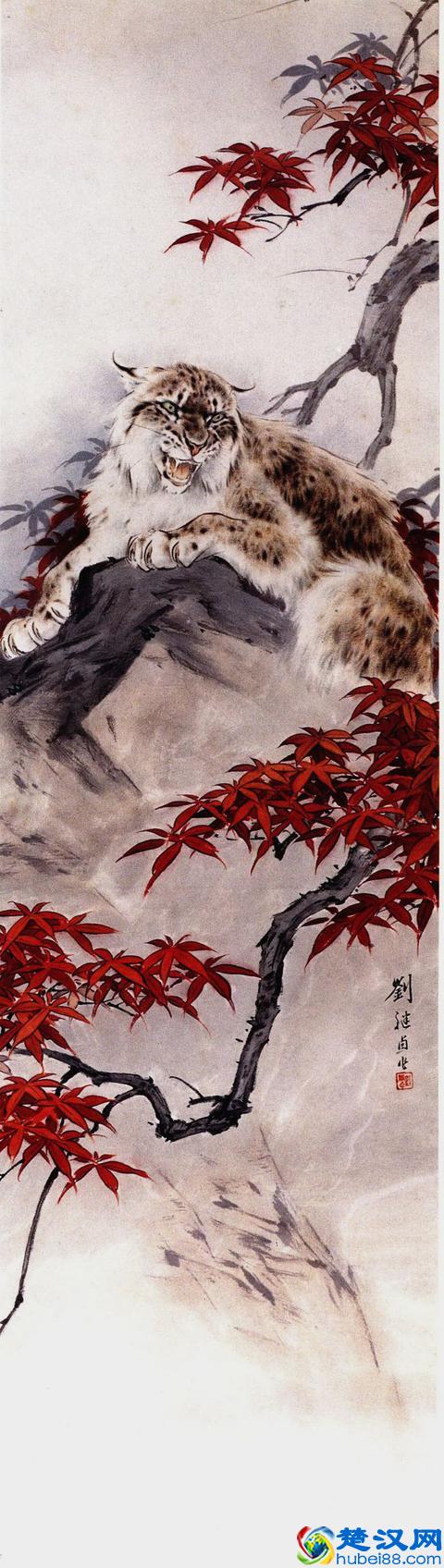 令人着迷的大猫，猞猁