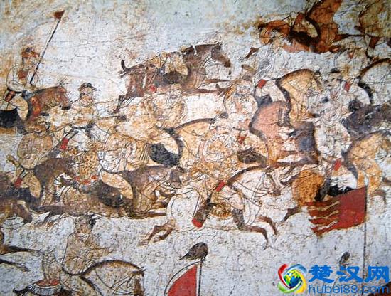 令人着迷的大猫，猞猁