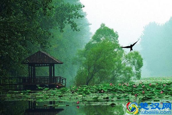 中国十大湖泊，你知道中国最大的湖是什么湖吗？