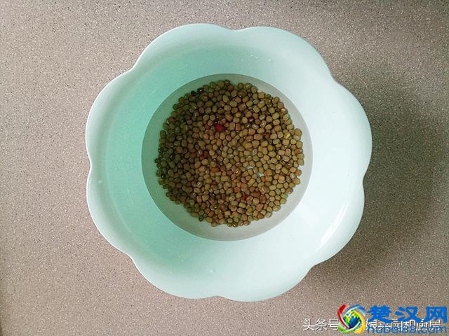 教您在家轻松自发健康绿豆芽的方法和技巧！