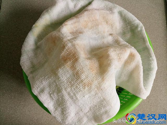 教您在家轻松自发健康绿豆芽的方法和技巧！