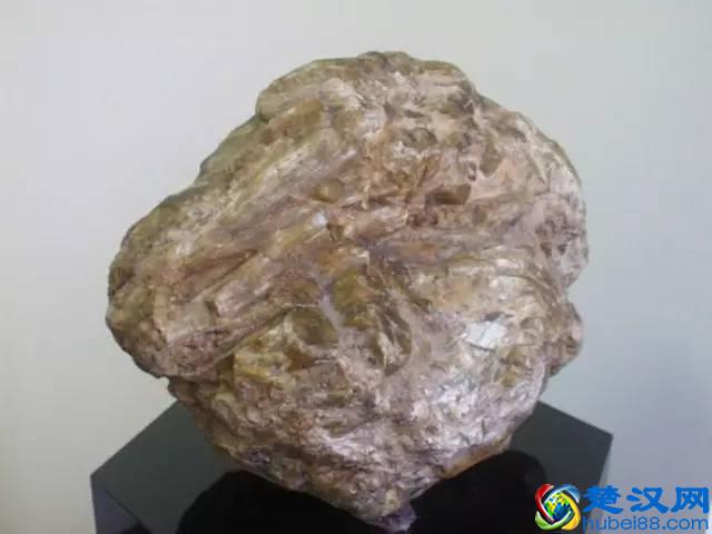 常见变质岩标本及构成矿物详细说明