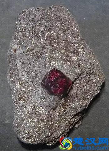 常见变质岩标本及构成矿物详细说明