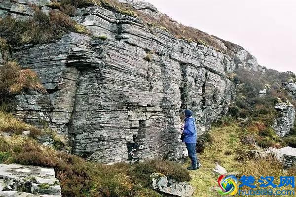 常见变质岩标本及构成矿物详细说明