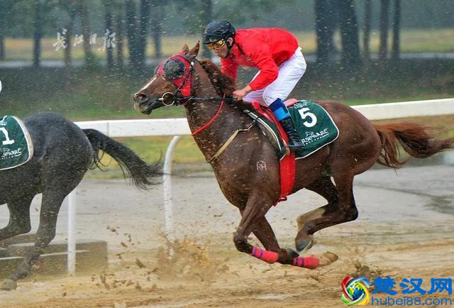 春运火车票开抢！各站放票时间不同，没抢到赶紧做这事｜早安武汉