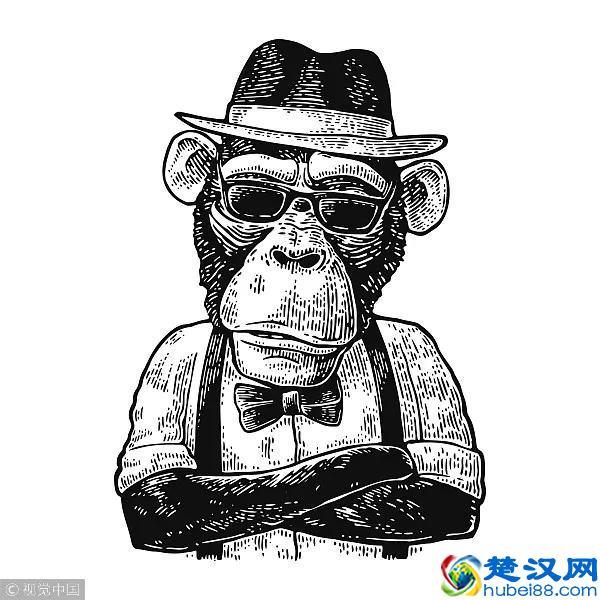 哺乳动物有哪些特点？｜FM十万个为什么