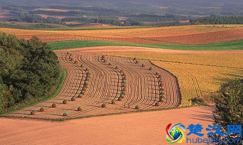 农村土地征用补偿的标准是啥?看完这个你就不会吃亏了!