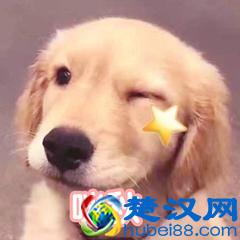 什么是假声？超详细假声教学，教你完美掌握假声技巧