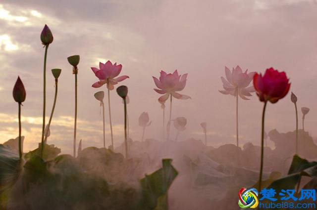 看破红尘中的“红尘”二字，是指什么呢？