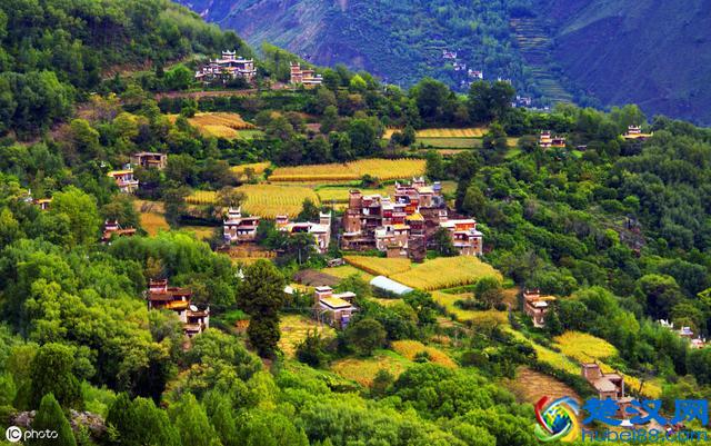 什么是农村“新四害”？到底有多大危害？听听农村老人怎么说