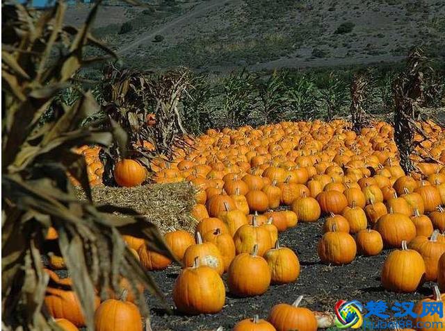 美国人奇葩的10个生活习惯，中国人不能理解