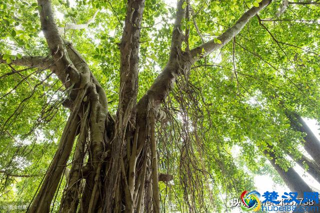 不知无聊的时候干什么，告诉你打发时间的100种方式