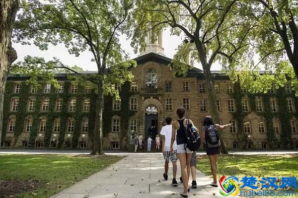 这14所顶尖美国大学，对留学生最慷慨