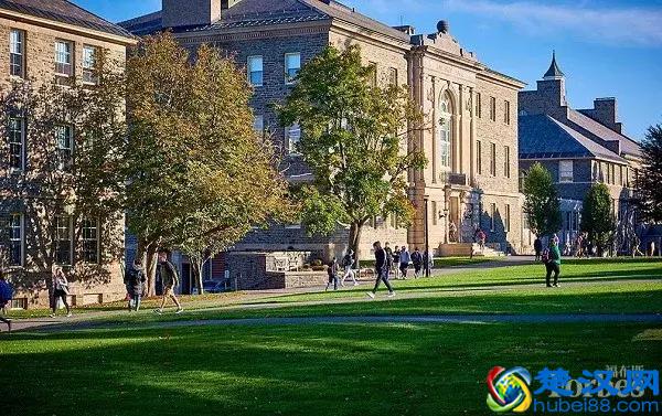 这14所顶尖美国大学，对留学生最慷慨