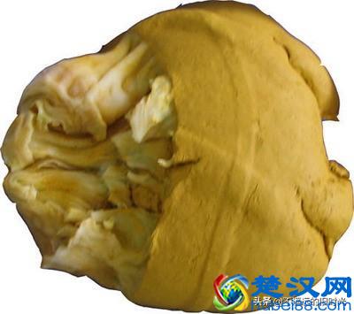 “太岁”究竟是个什么东西？来看看全国所发现的部份“太岁”长得啥样