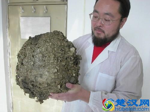 “太岁”究竟是个什么东西？来看看全国所发现的部份“太岁”长得啥样